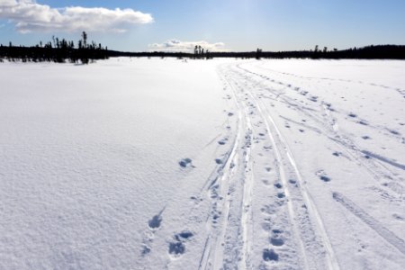 Ski trails at Headquarters Lake, Kenai National Wildlife Refuge. photo