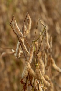 20190920-NRCS-LSC-0408