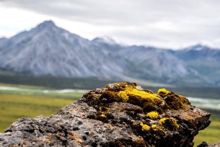 Arctic Refuge - Sheenjek River