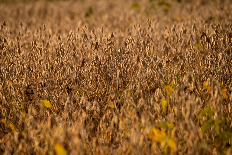 20190920-NRCS-LSC-0205