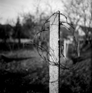 barbed wire / szögesdrót photo