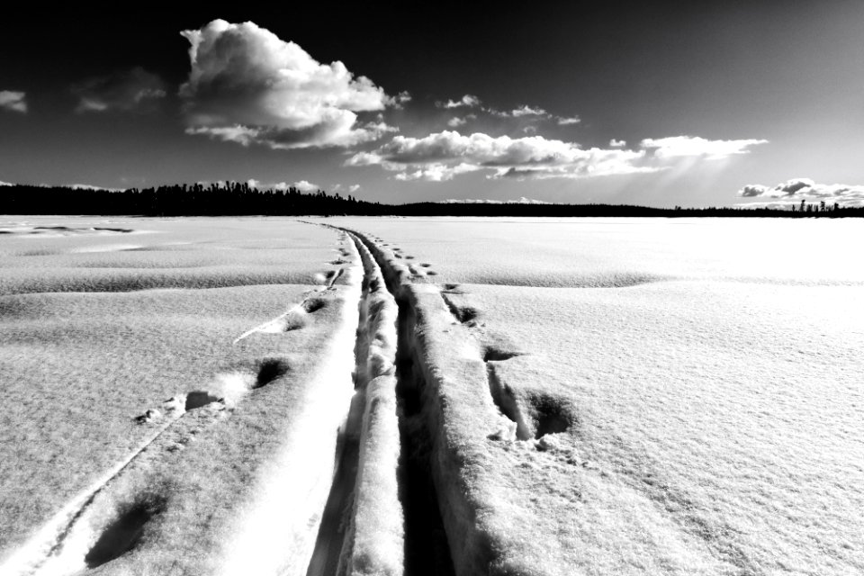 Ski trails at Headquarters Lake, Kenai National Wildlife Refuge.