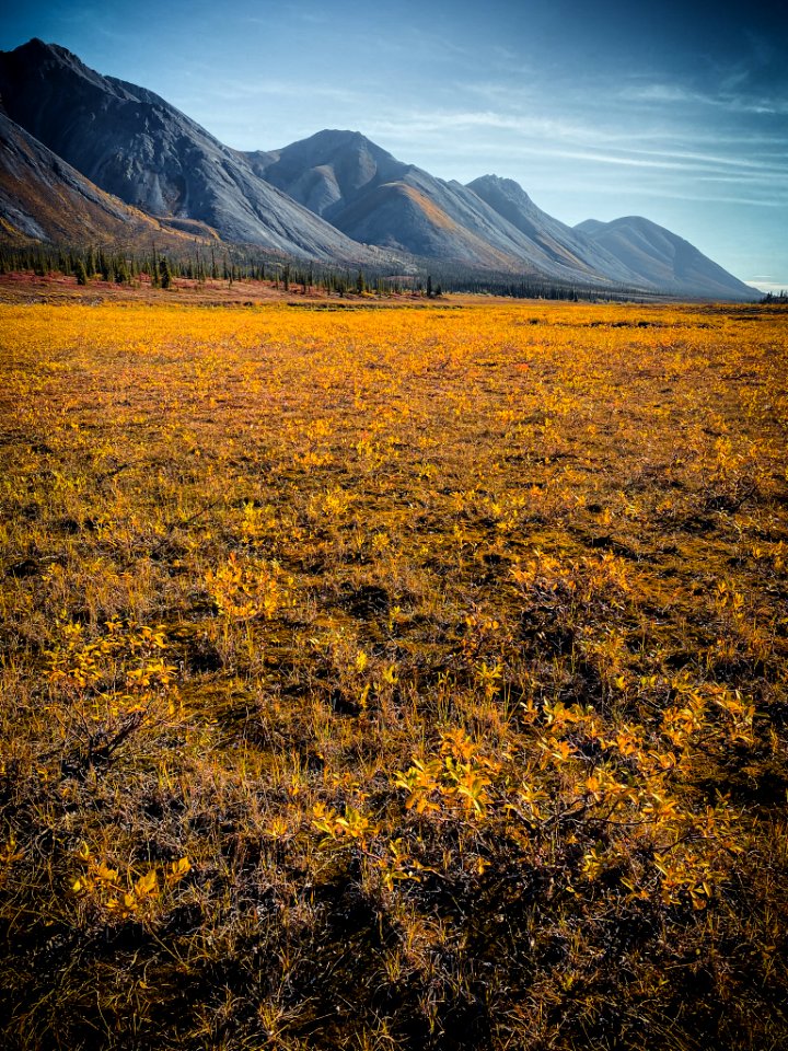 Fall foliage at Last Lake