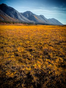 Fall foliage at Last Lake