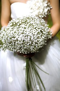 Wedding photos wedding wedding dresses