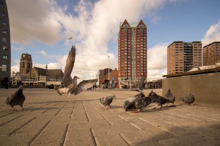 Pavement cityscape scene