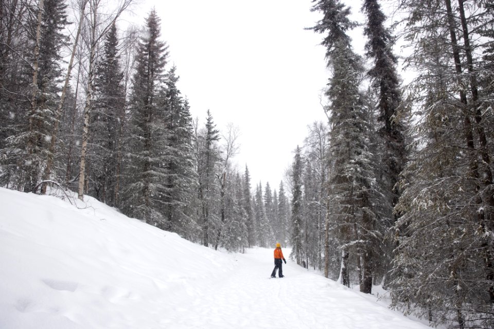 Snowshoeing at Kenai Refuge.