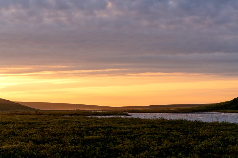 The bank of the Hulahula
