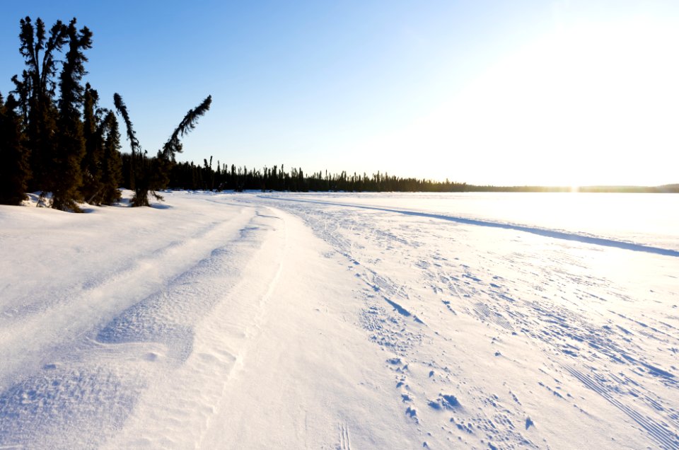 Ski trails at Headquarters Lake, Kenai National Wildlife Refuge.
