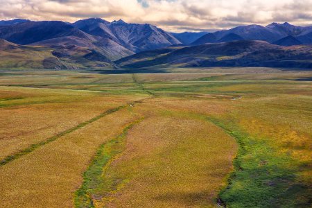 Arctic Bird Fest 2019