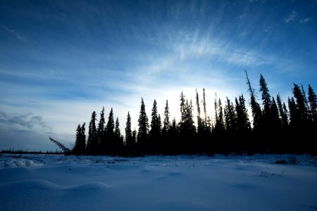 Lynx Project At Yukon Flats National Wildlife Refuge photo