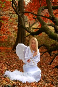 Wings leaves red