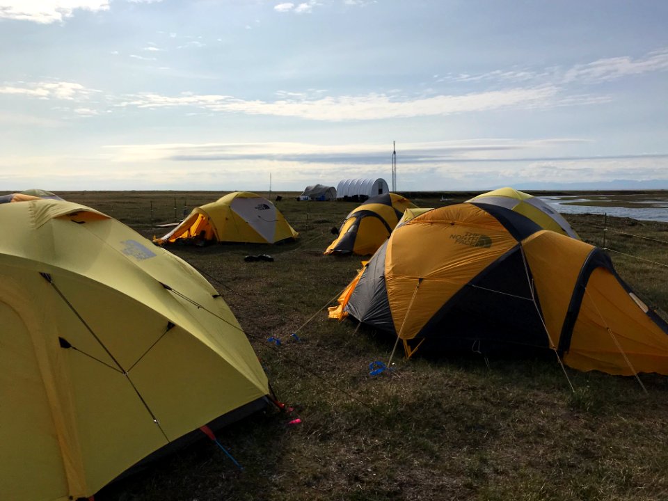 2019 Arctic Virtual Bird Fest