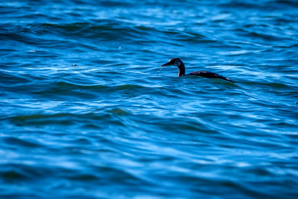20190915-FS-PJK-10386 TONED