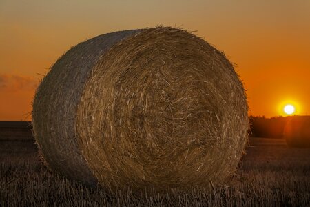 Cereals economy bales