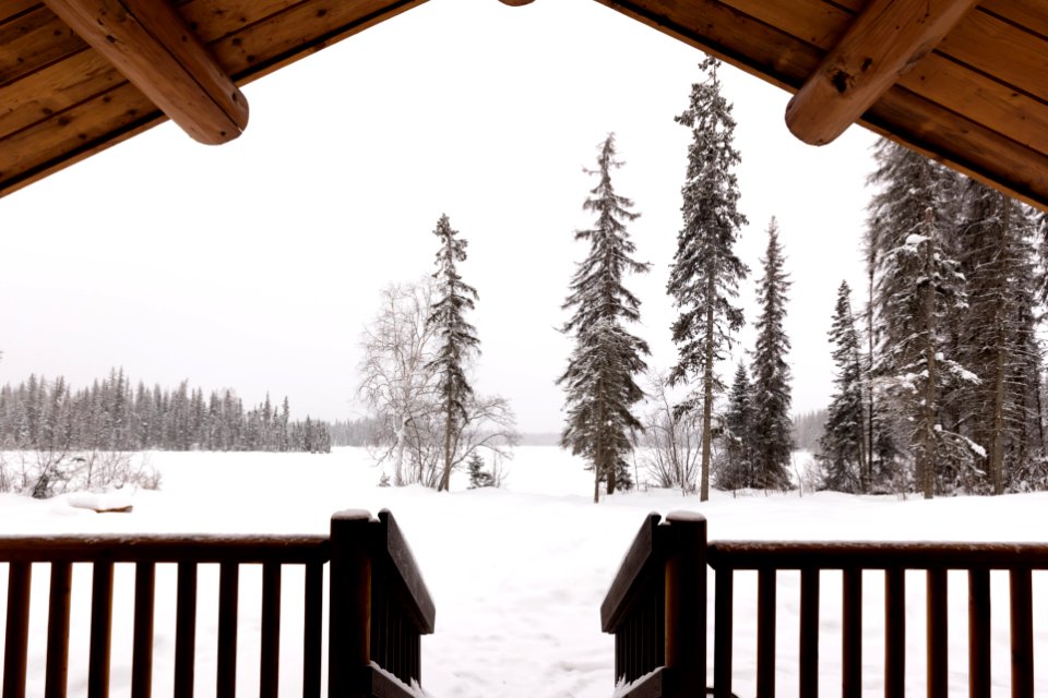 Looking out at the snow