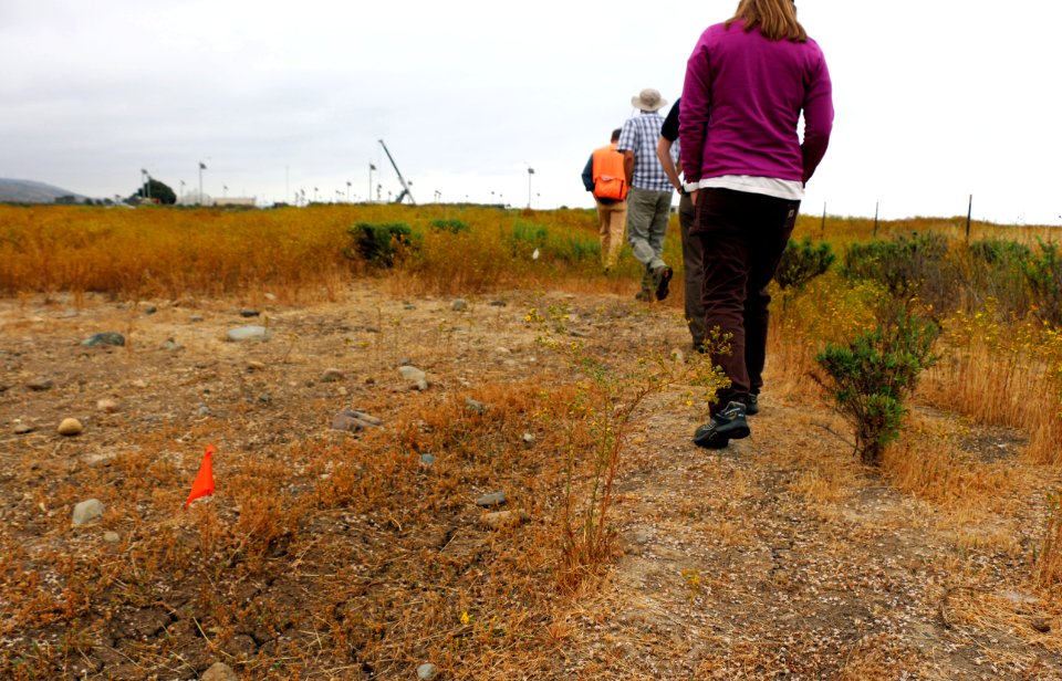 Vernal pool restoration site at Camp Pendleton