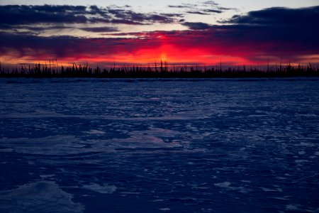 Lynx Project At Yukon Flats National Wildlife Refuge