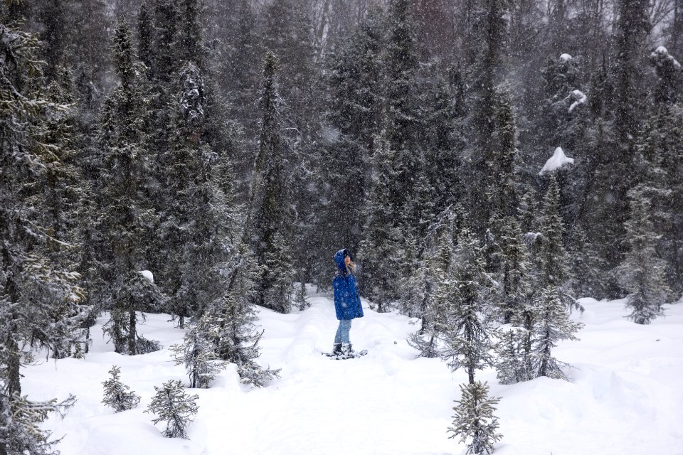 Taking a walk in snowshoes at Kenai National Wildlife Refuge.