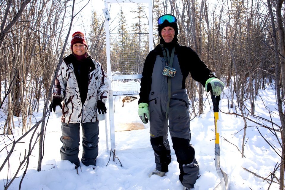 Lynx Project At Yukon Flats National Wildlife Refuge