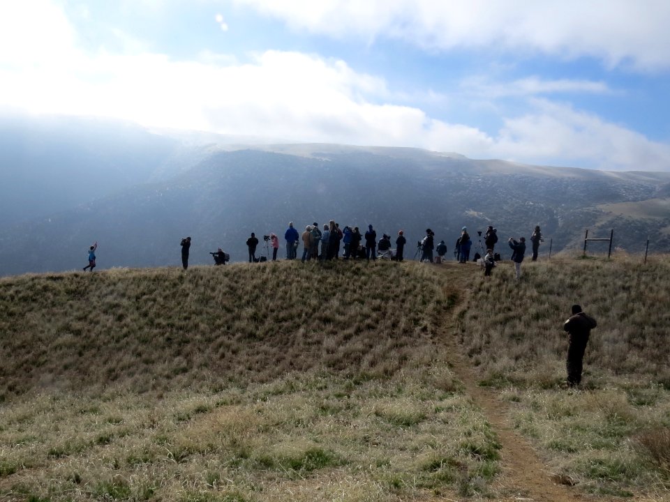 Pasadena Young Birders Club, along with conservation partners at Bitter Creek to view release of California condor. Photo by Anthony Prieto