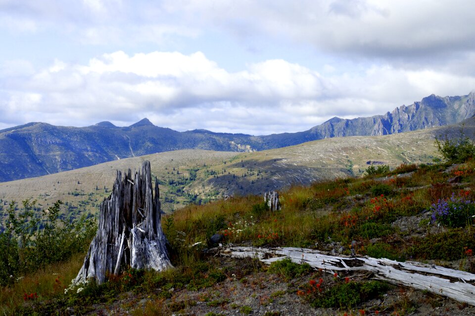 Mount st helens mountain volcano