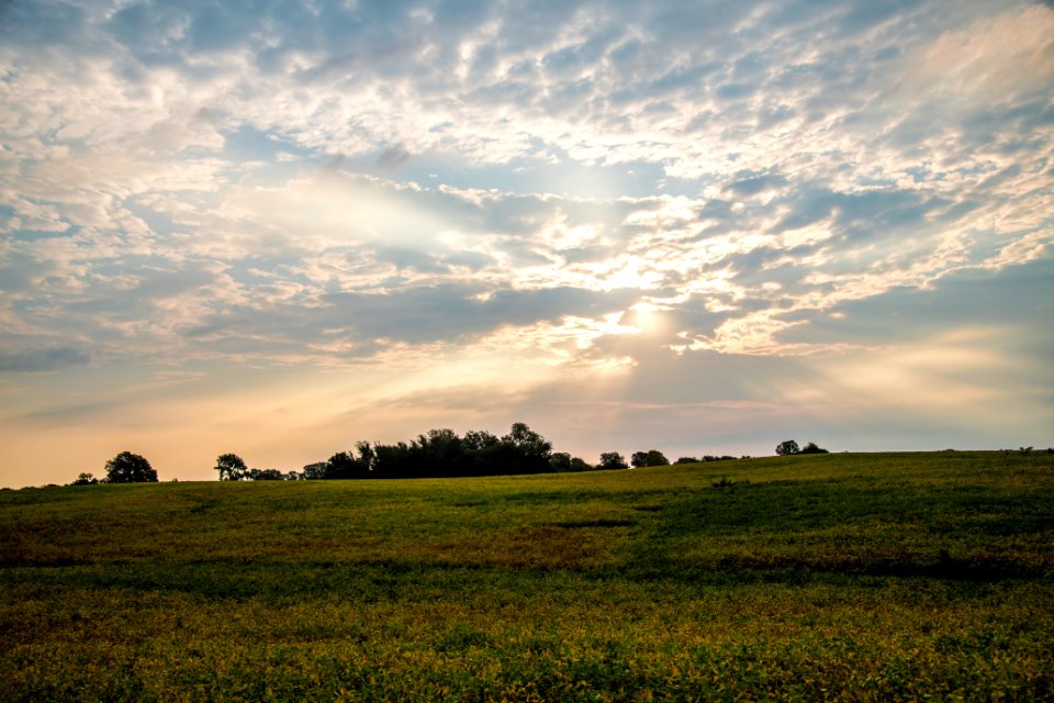 20190920-NRCS-LSC-0168