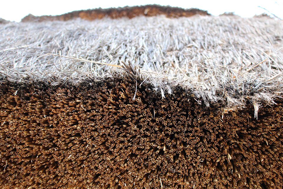 Thatched roof straw roof straw