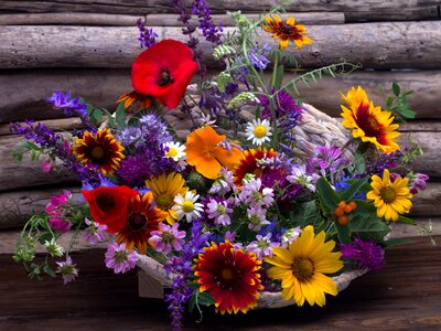 Still life flowers bouquet