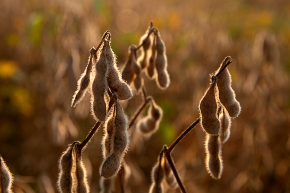 20190920-NRCS-LSC-0225