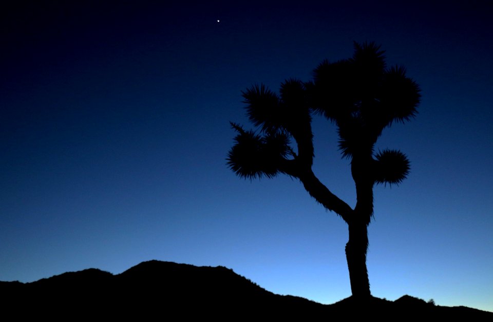 Dusk in the desert photo