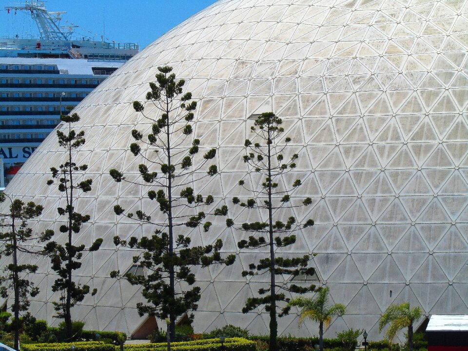 White exterior trees