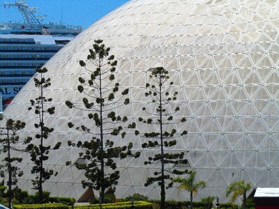 White exterior trees