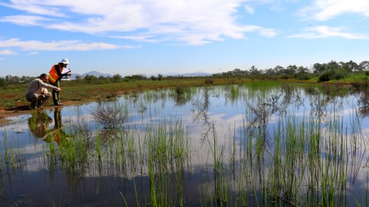 Vernal pools in San Diego County photo