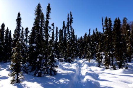 Winter scene at Headquarters Lake photo