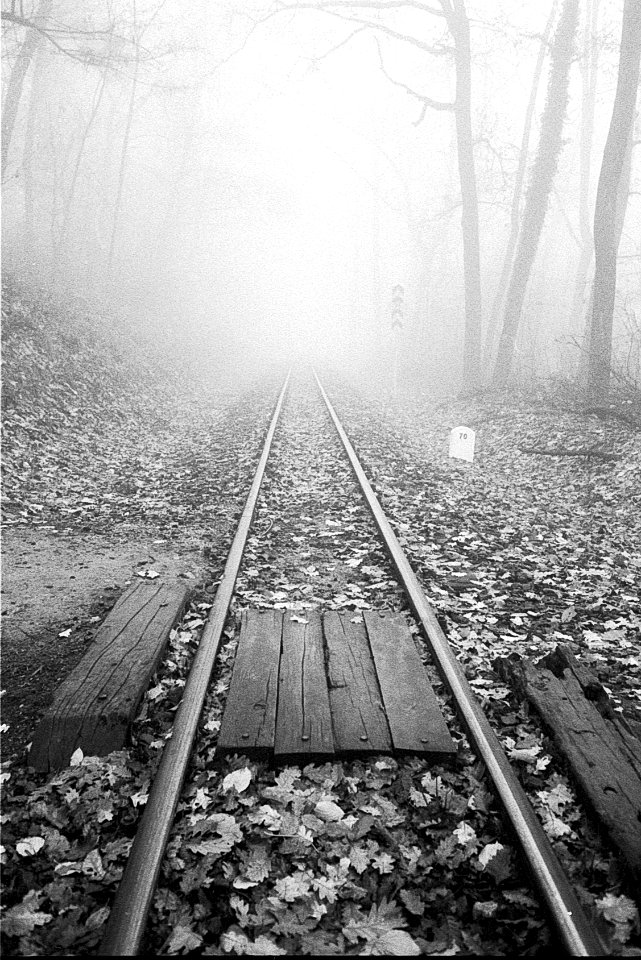 Railroads in fog photo