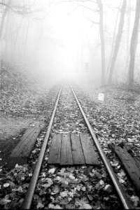 Railroads in fog photo