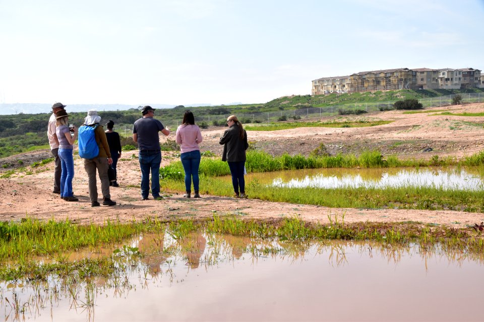 Vernal pool in first year of restoration, Otay Mesa, California