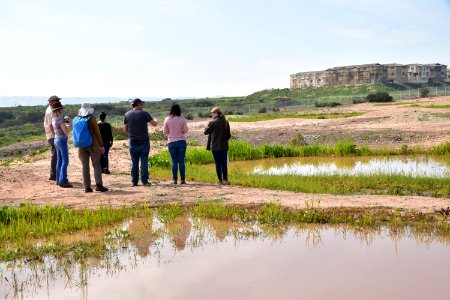 Vernal pool in first year of restoration, Otay Mesa, California photo