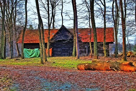 Wood barn forest lodge hdr image