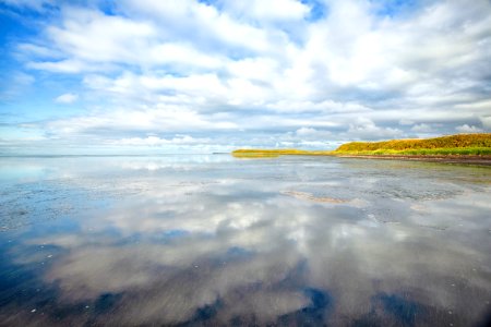 Izembek Lagoon and Grant Point