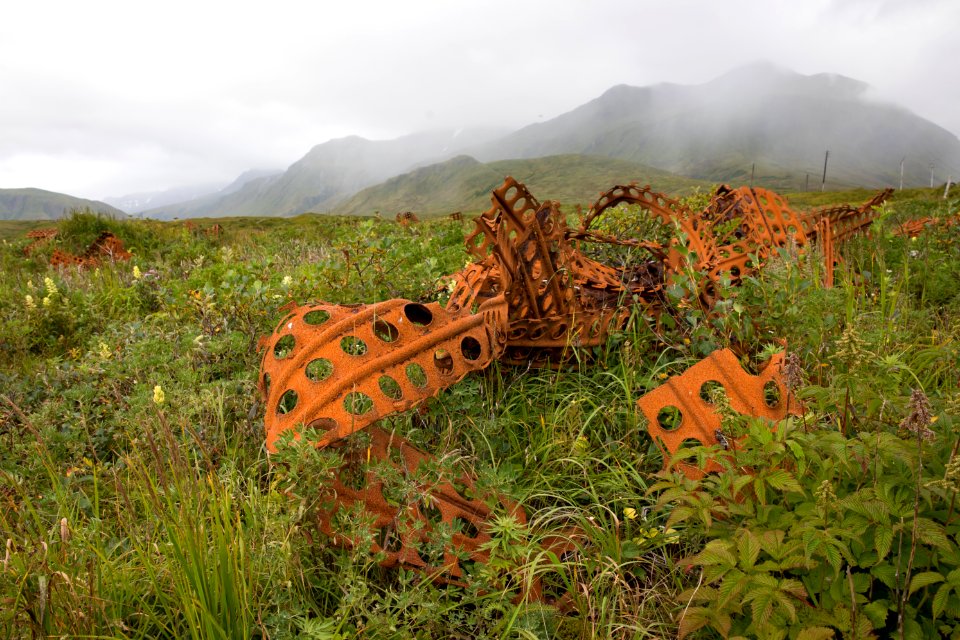 Rusted Marston Matting, Attu