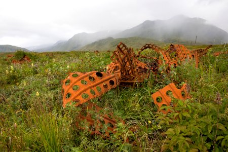 Rusted Marston Matting, Attu