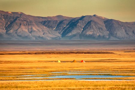 Arctic Bird Fest 2019