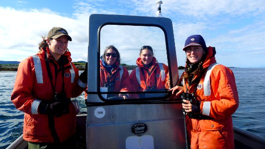 Volunteers with biologist Robin Corcoran: August 2012 Nearshore Marine Bird Survey photo