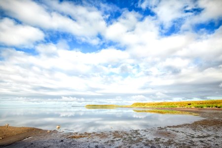 Izembek Lagoon and Grant Point