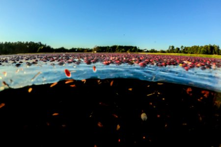 20191019-NRCS-LSC-2414