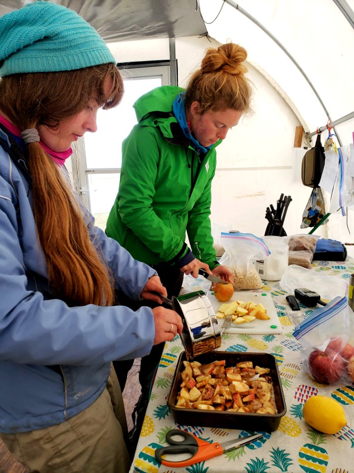 2019 Arctic Virtual Bird Fest
