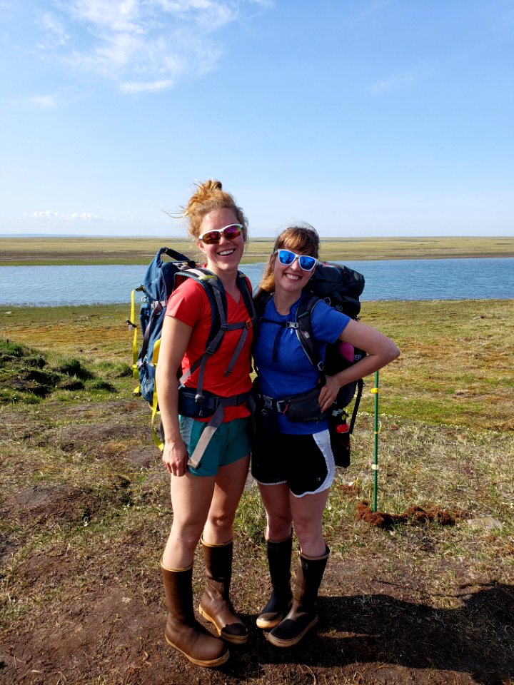 2019 Arctic Virtual Bird Fest