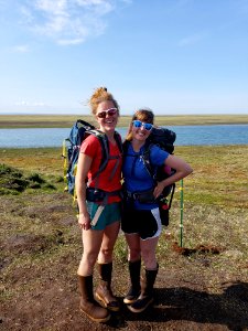 2019 Arctic Virtual Bird Fest